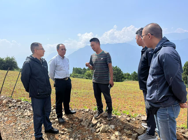 918博天堂助力乡村全面振兴专家团队深入牛角湾镇开展中药材种植指导